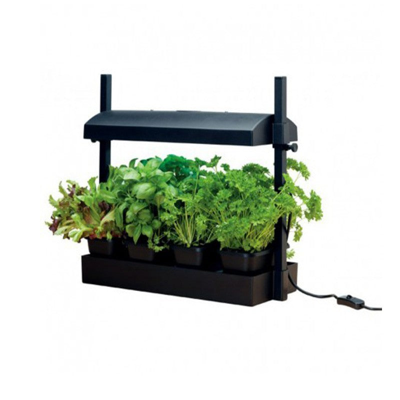 MINI POTAGER DE CUISINE GARLAND 11W