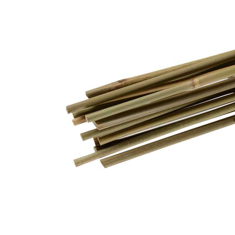 LOT 25 TUTEURS BAMBOU 150cm