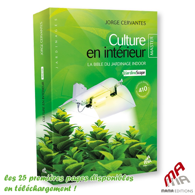 LIVRE CULTURE EN INTERIEUR MASTER EDITION par Georges Cervantes