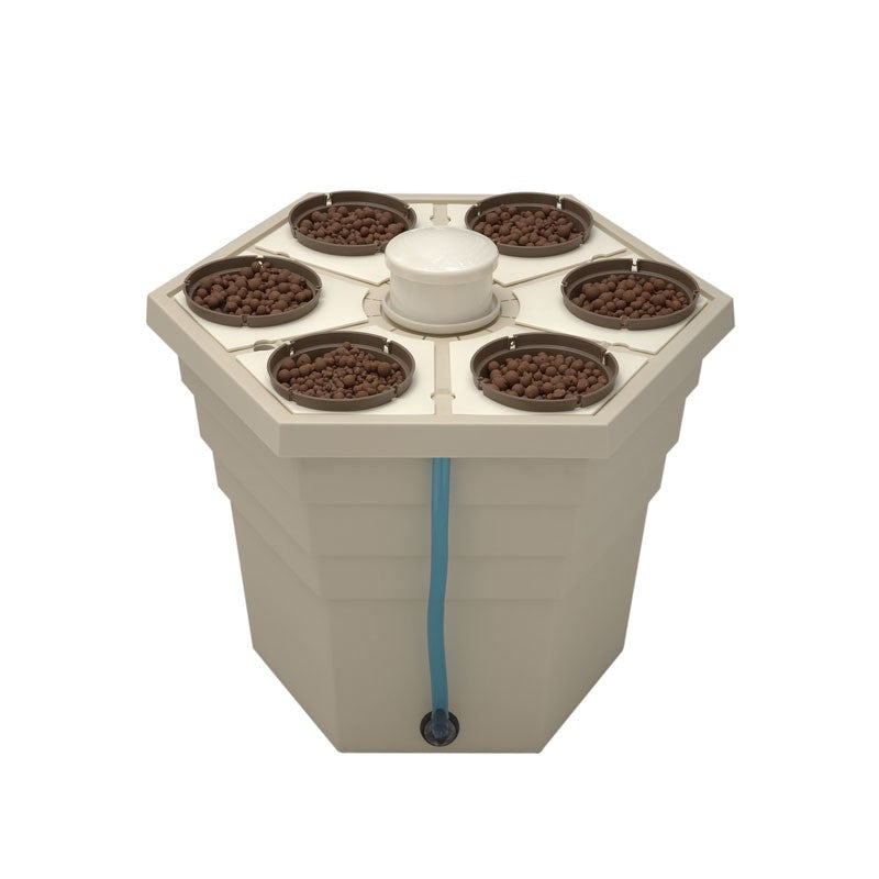 rainforest 6 plantes 12 volts