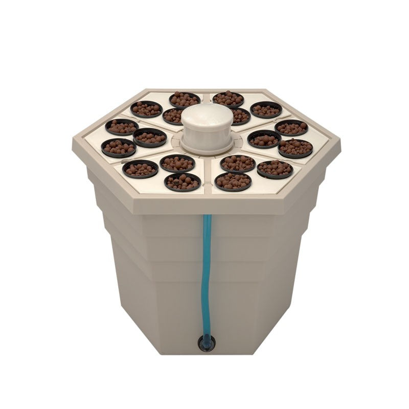 rainforest 18 plantes 12v