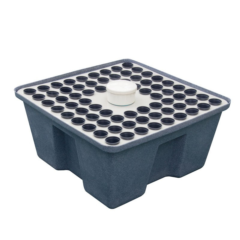 rainforest 72 boutures