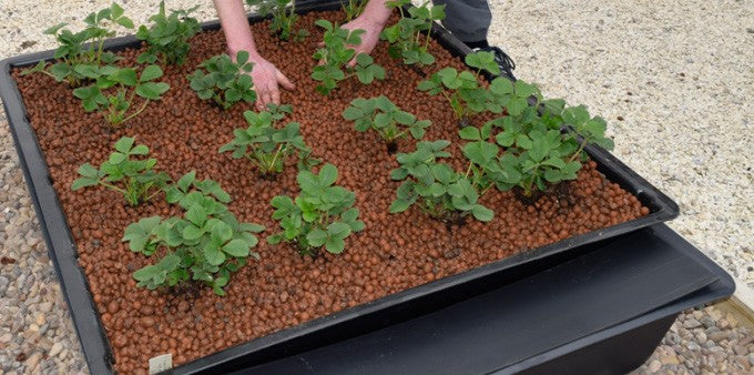 Nutriculture EBB&FLOOD 120