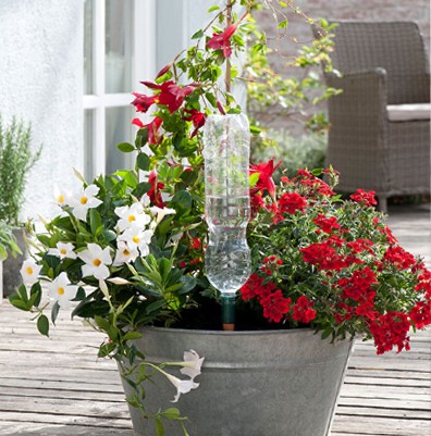 Blumat Arroseur Automatique pour bouteilles