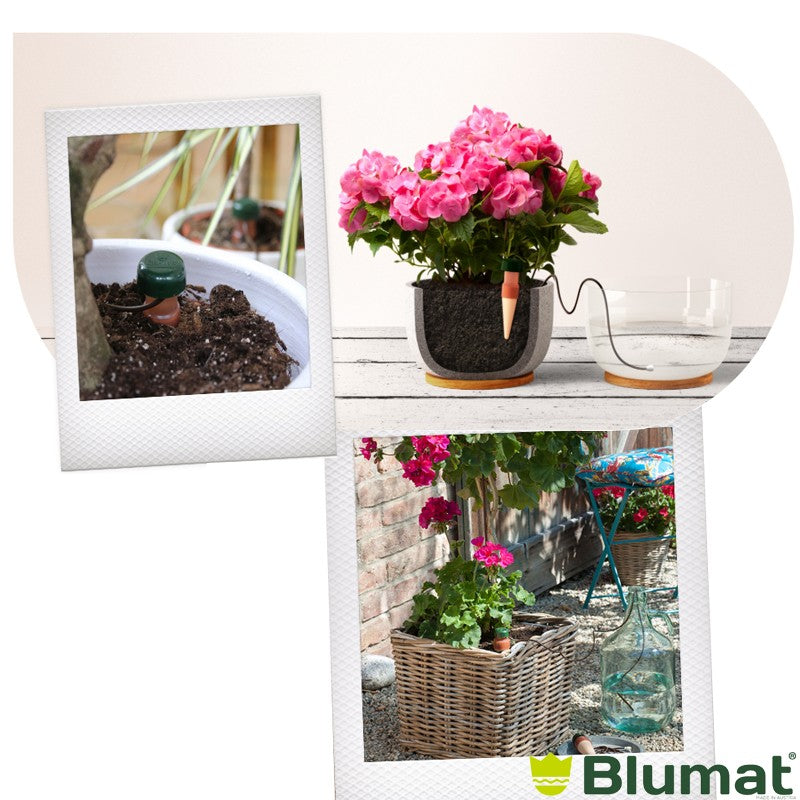 Blumat Classic XL Arroseur automatique