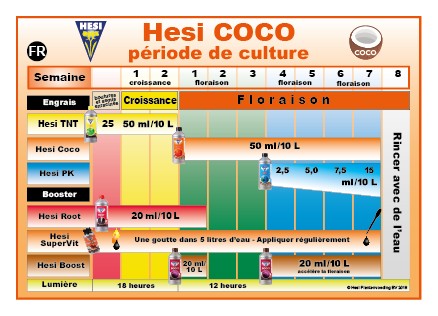 HESI shéma de culture coco