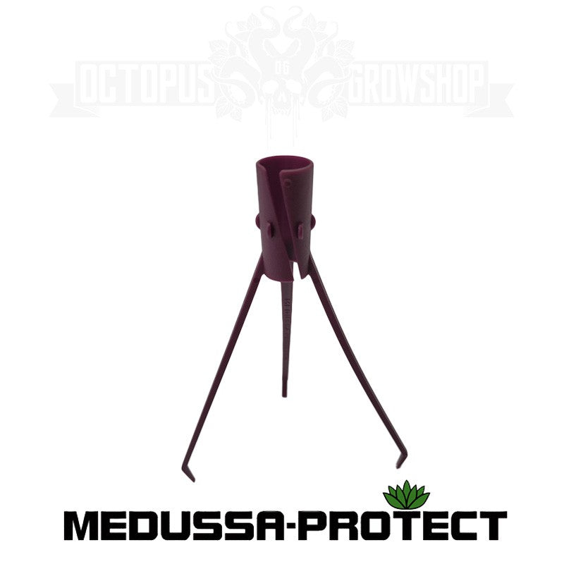 MEDUSSA PROTECT - TUTEURS DE MAINTIEN POUR JEUNES POUSSES