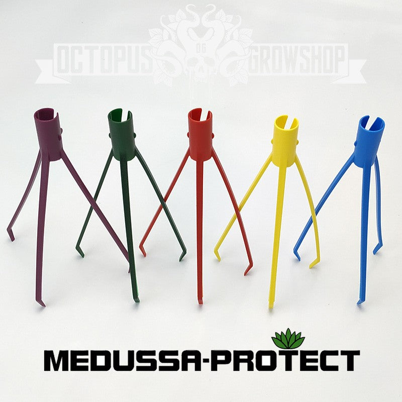 MEDUSSA PROTECT - TUTEURS DE MAINTIEN POUR JEUNES POUSSES