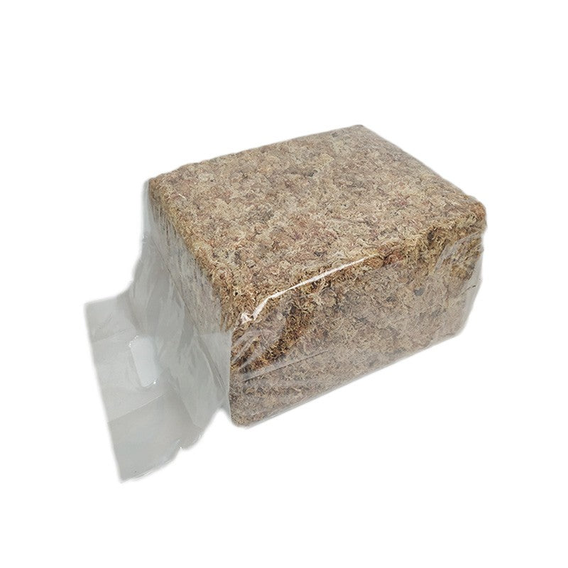 SPHAIGNE DU CHILI 500G