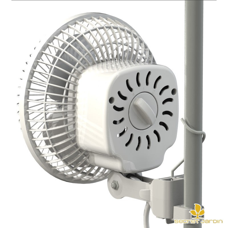 Secret Jardin - Monkey Fan 20cm - 16w