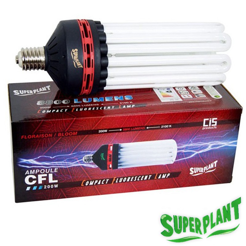 AMPOULE CFL SUPERPLANT V2 200W FLORAISON