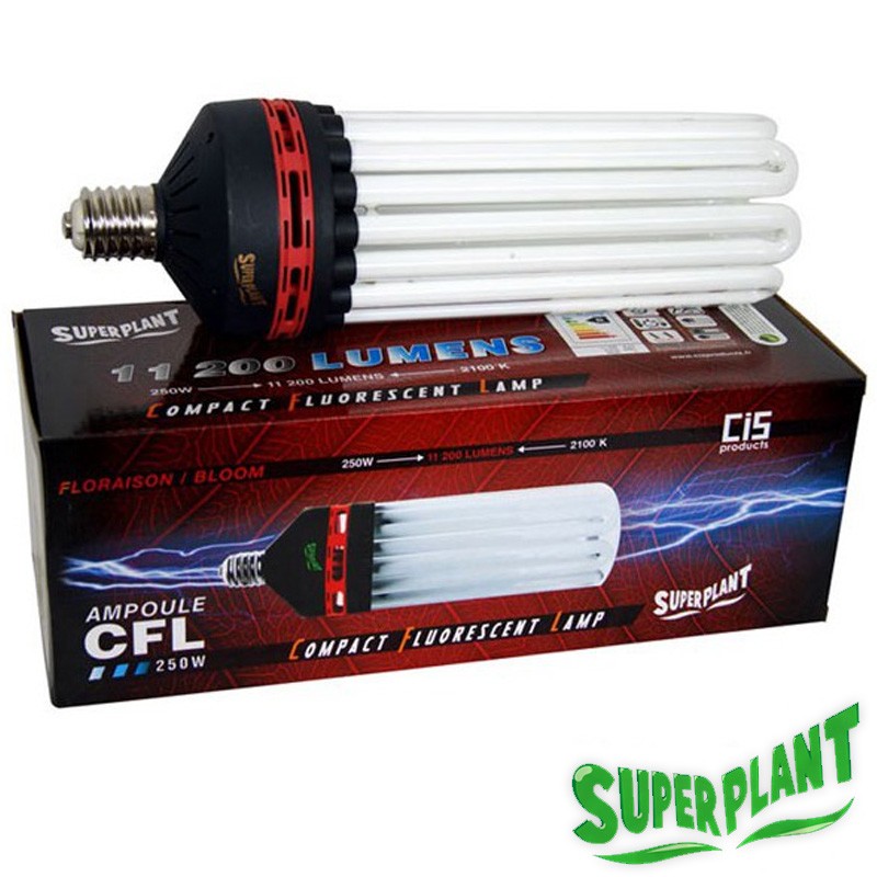 AMPOULE CFL SUPERPLANT V2 250W FLORAISON