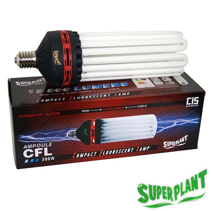 AMPOULE CFL SUPERPLANT V2 300W FLORAISON