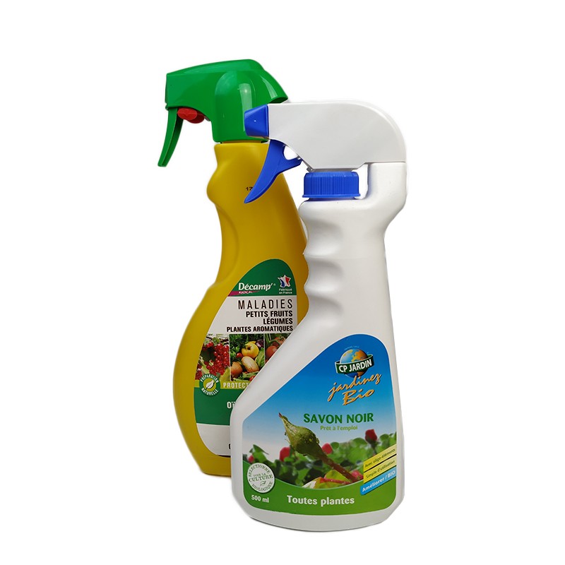 PACK PROTECTION FONGIQUE + SAVON NOIR