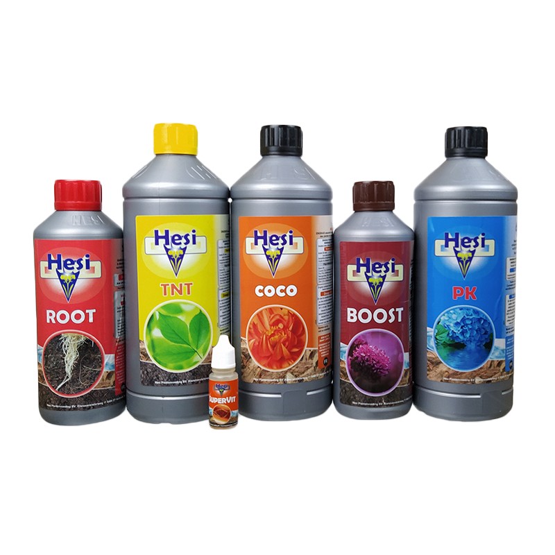 PACK HESI COCO MEDIUM