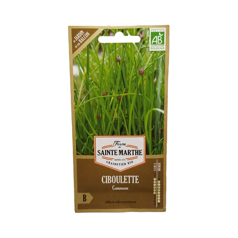 GRAINES BIO - CIBOULETTE Commune