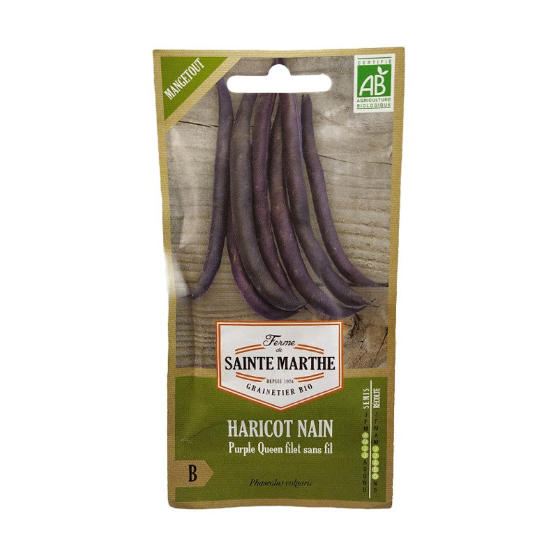 GRAINES BIO - HARICOT NAIN Purple Queen filet sans fil