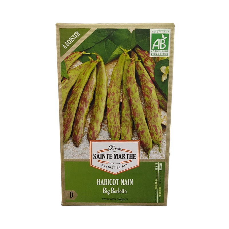 GRAINES BIO - HARICOT NAIN Big Borlotto