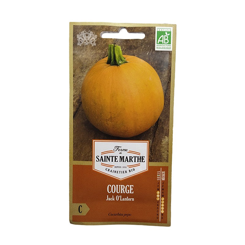 GRAINES BIO - COURGE Jack O Lantern