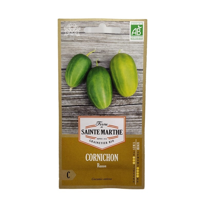 GRAINES BIO - CORNICHON Russe