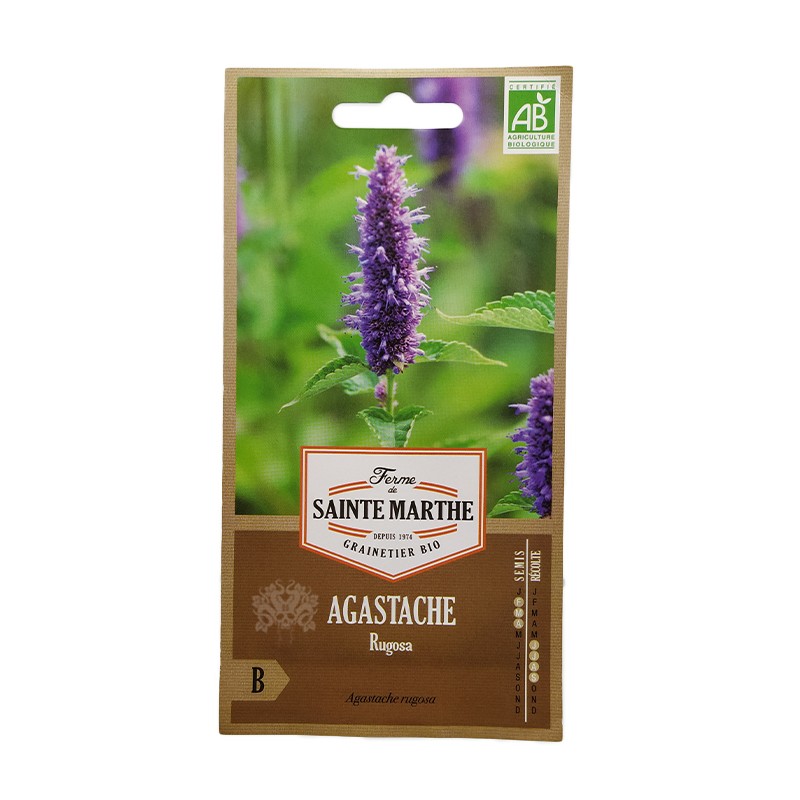 GRAINES BIO - MENTHE AGASTACHE Rugosa
