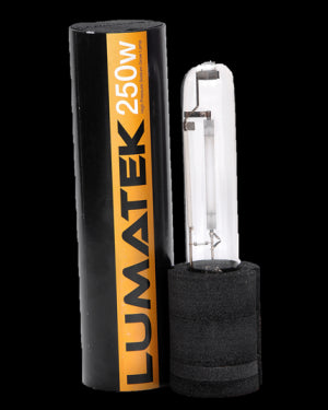 AMPOULE HPS LUMATEK 250W