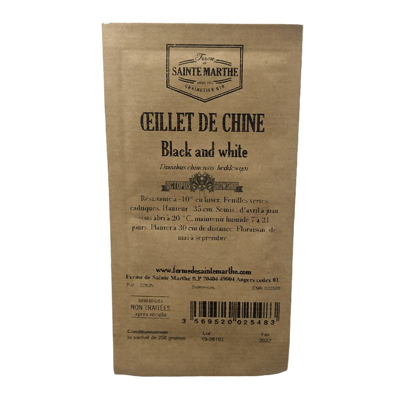 GRAINES BIO - OEILLET DE CHINE BLACK & WHITE NT