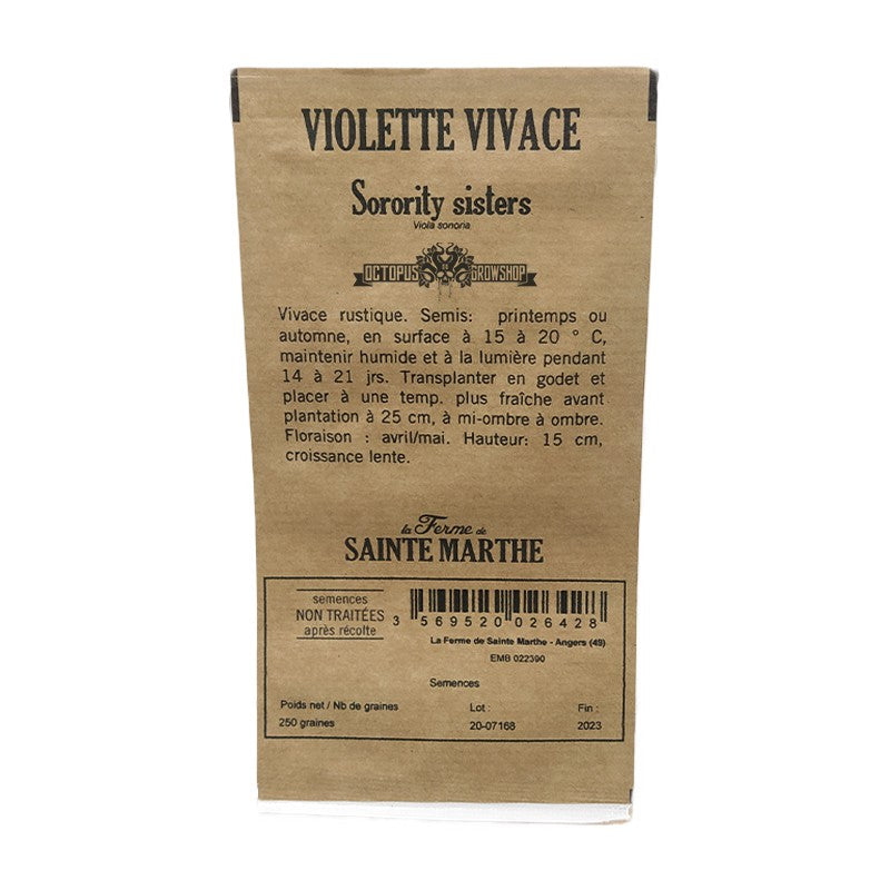 VIOLETTES VIVACES SORORITY SISTERS NT