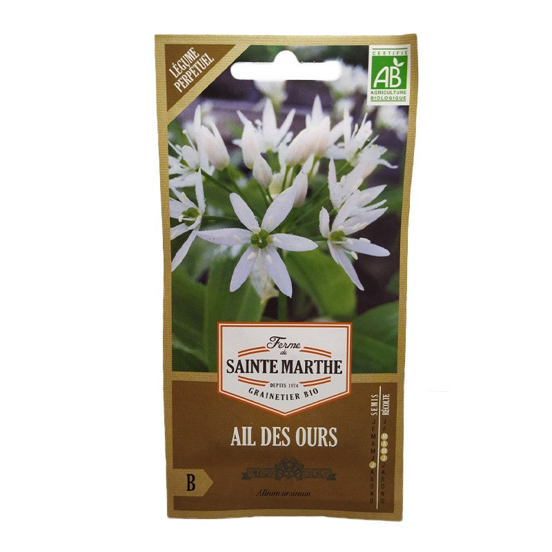 GRAINES BIO - AIL DES OURS