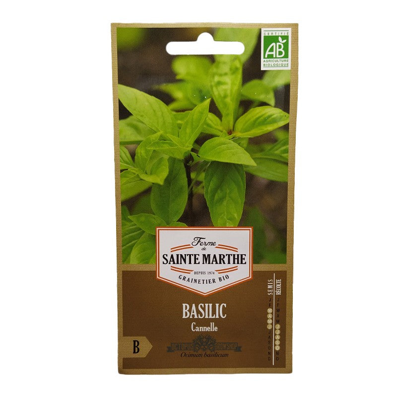 GRAINES BIO - BASILIC CANNELLE