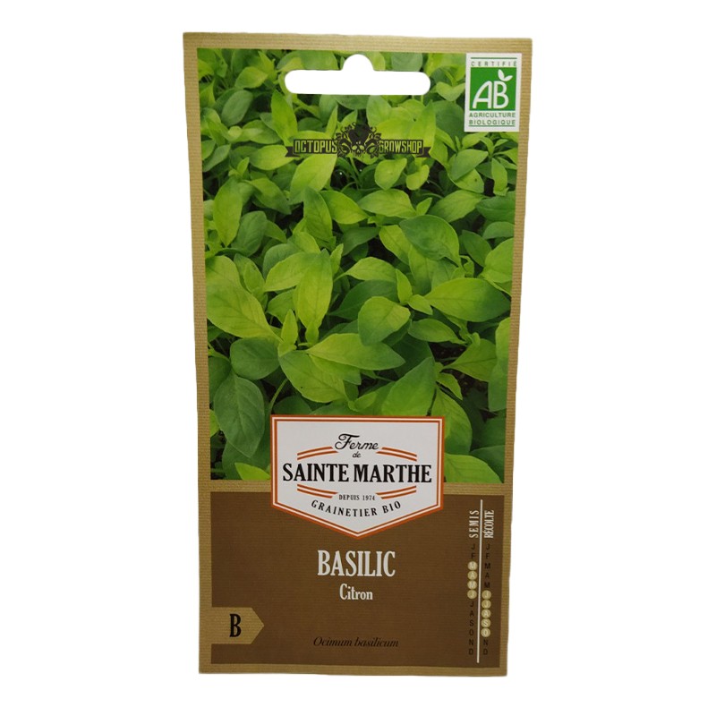 GRAINES BIO - BASILIC CITRON