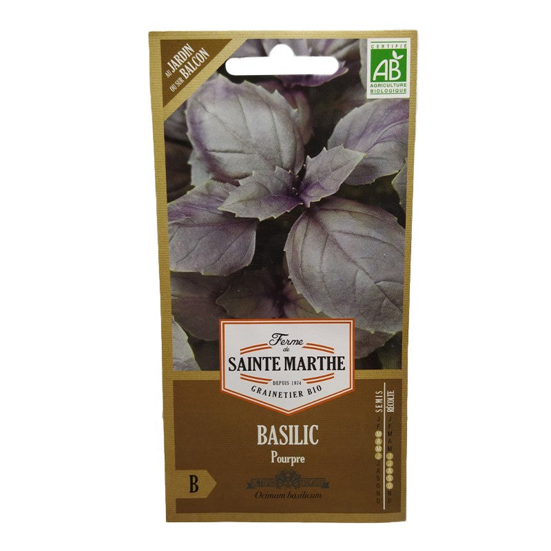 GRAINES BIO - BASILIC POURPRE