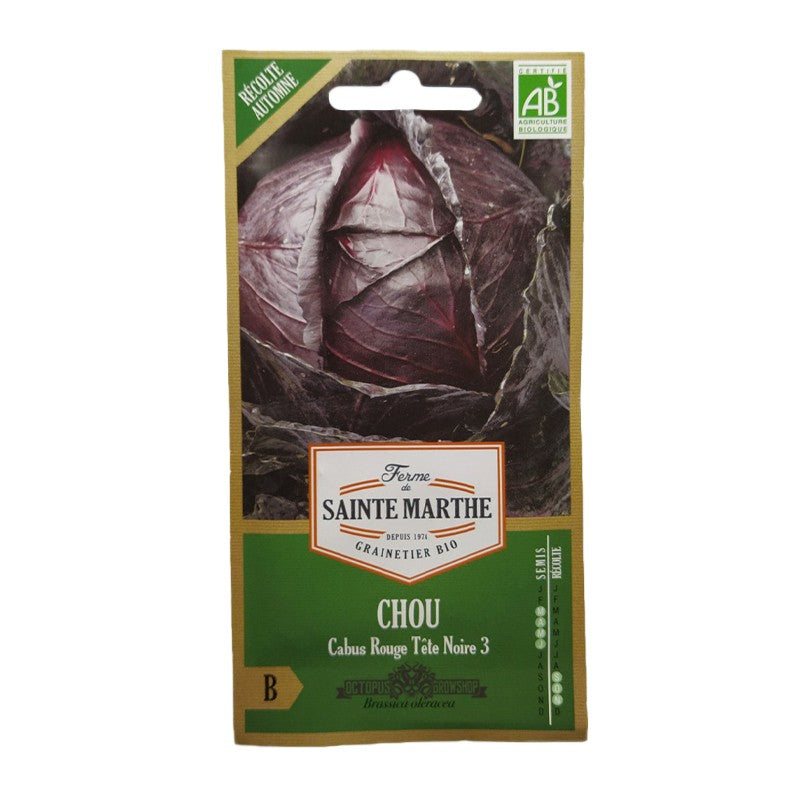 GRAINES BIO - CHOU CABUS ROUGE TETE NOIRE