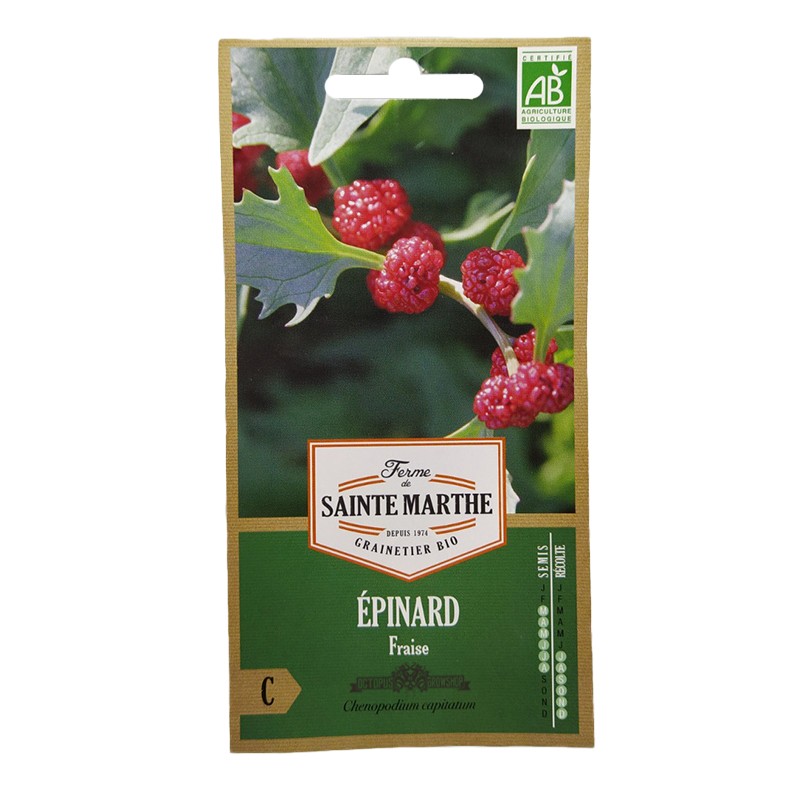 GRAINES BIO - EPINARD FRAISE