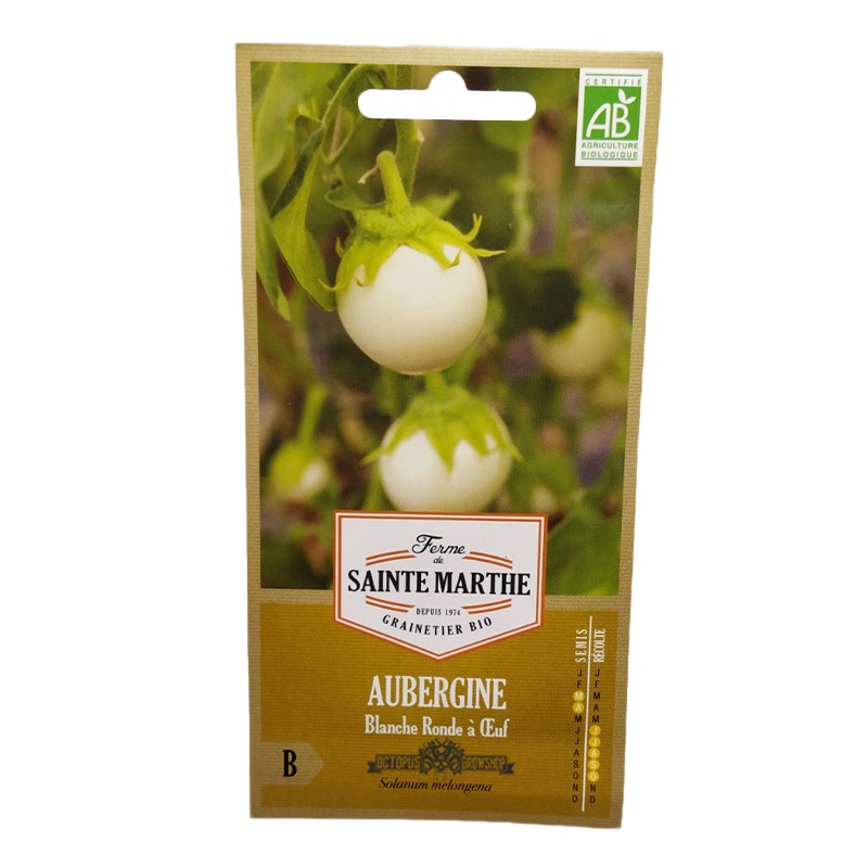 GRAINES BIO - AUBERGINE BLANCHE RONDE A OEUF