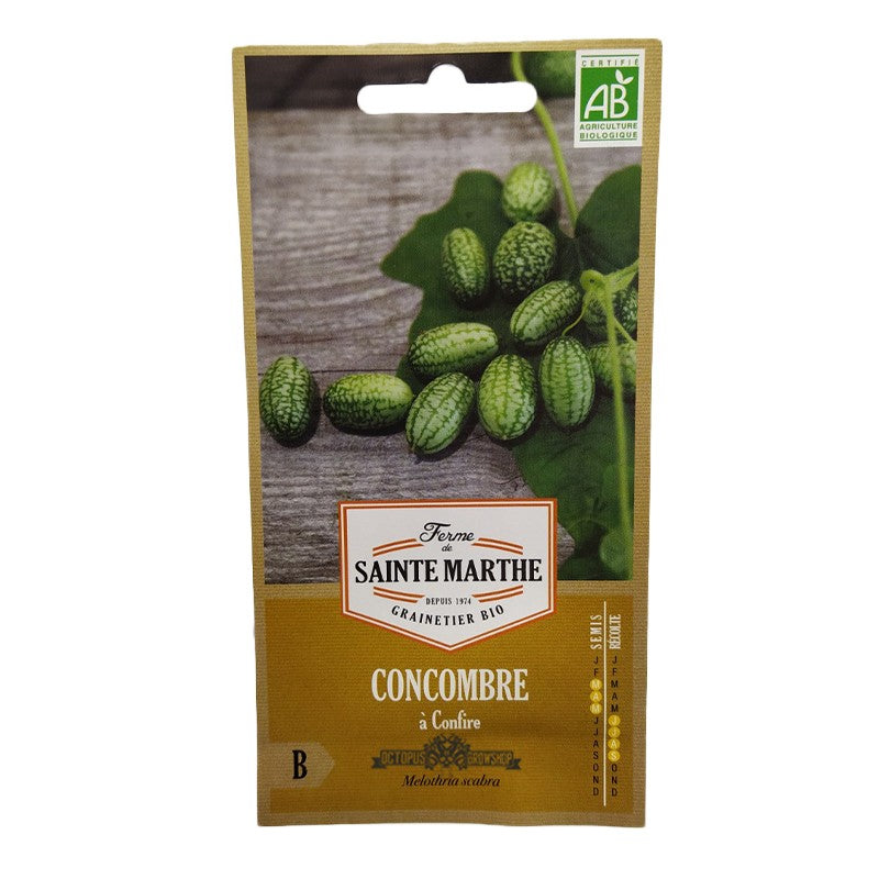 GRAINES BIO - CUCAMELONS CONCOMBRES A CONFIRE