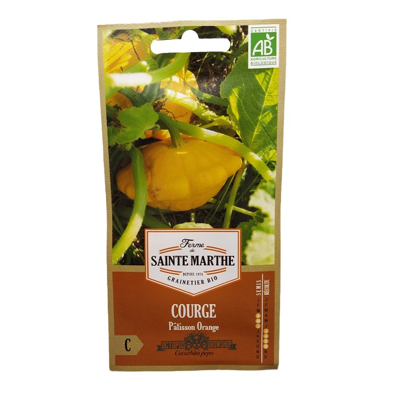 GRAINES BIO - COURGE PATISSON ORANGE