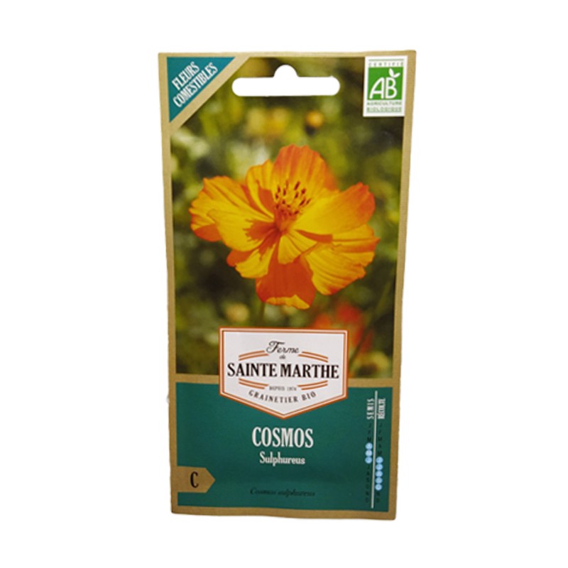 GRAINES BIO - COSMOS SULPHUREUS