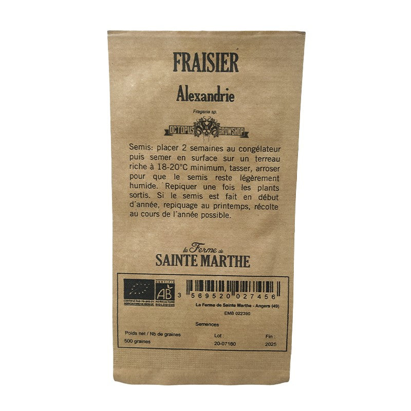 GRAINES BIO - FRAISIER ALEXANDRE