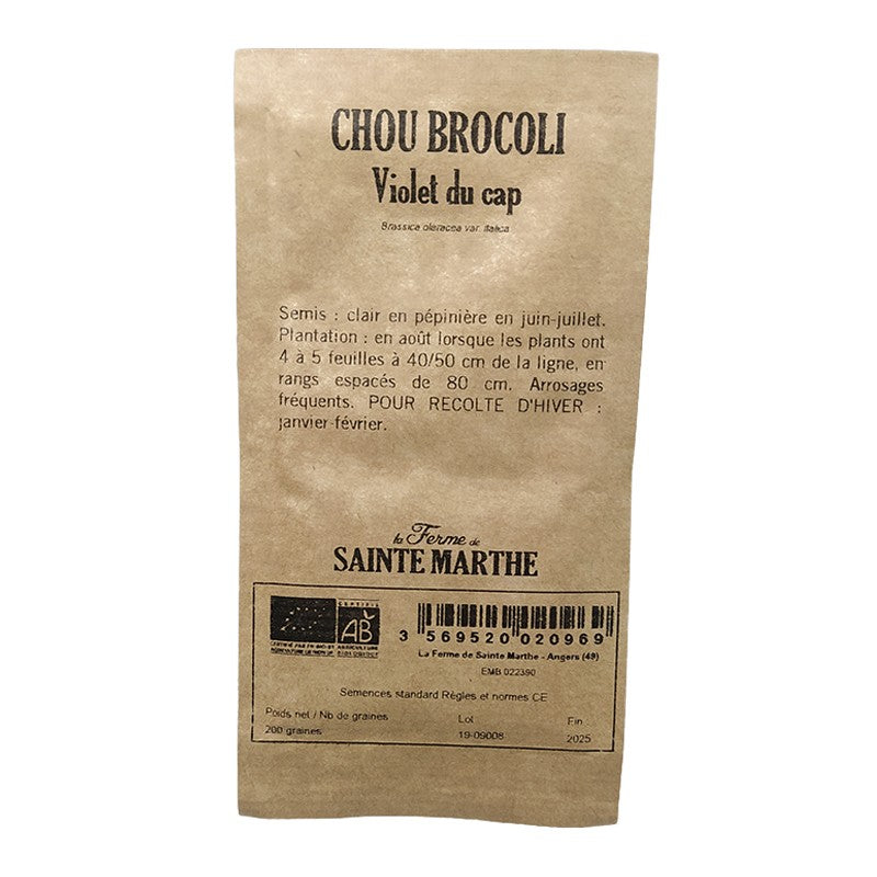 GRAINES BIO - CHOU BROCOLI VIOLET DU CAP