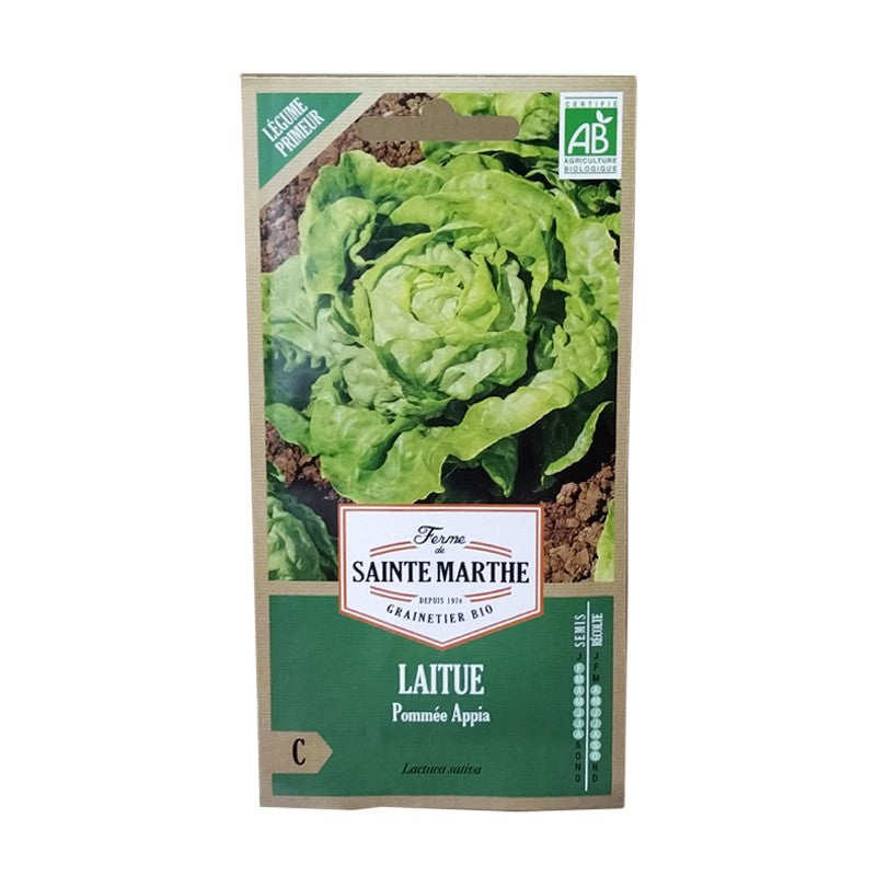 GRAINES BIO - LAITUE POMMEE APPIA