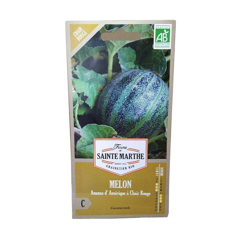 GRAINES BIO - MELON ANANAS D'AMERIQUE A CHAIR ROUGE
