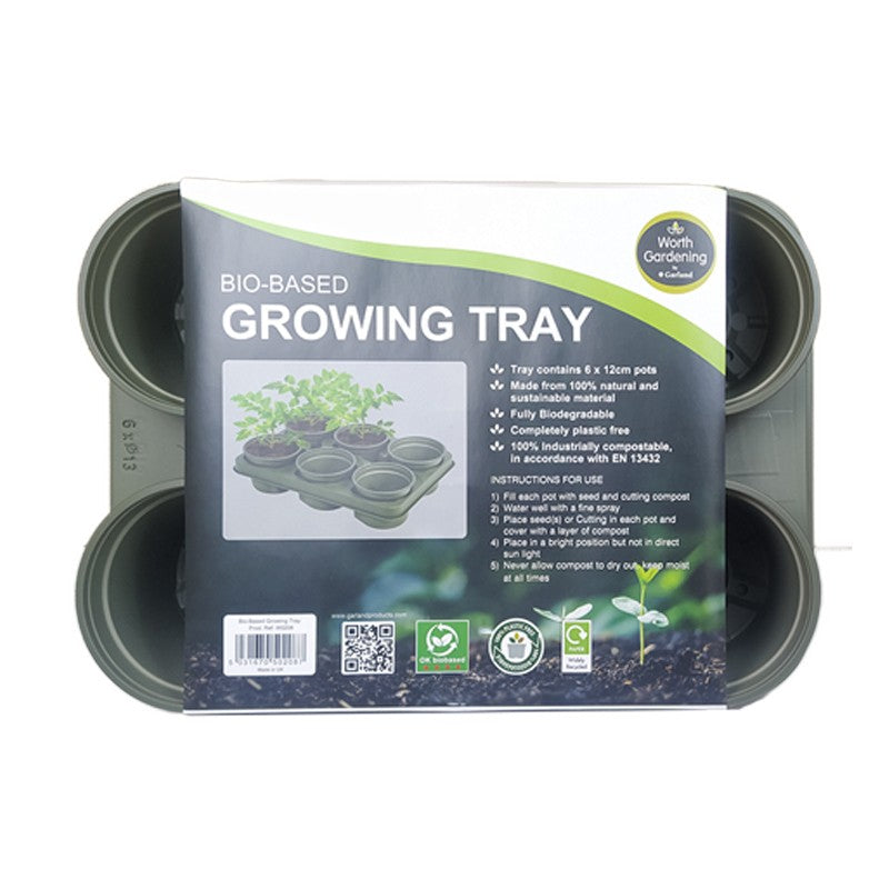 PLATEAU DE 6 POTS RONDS 12cm 38x28cm