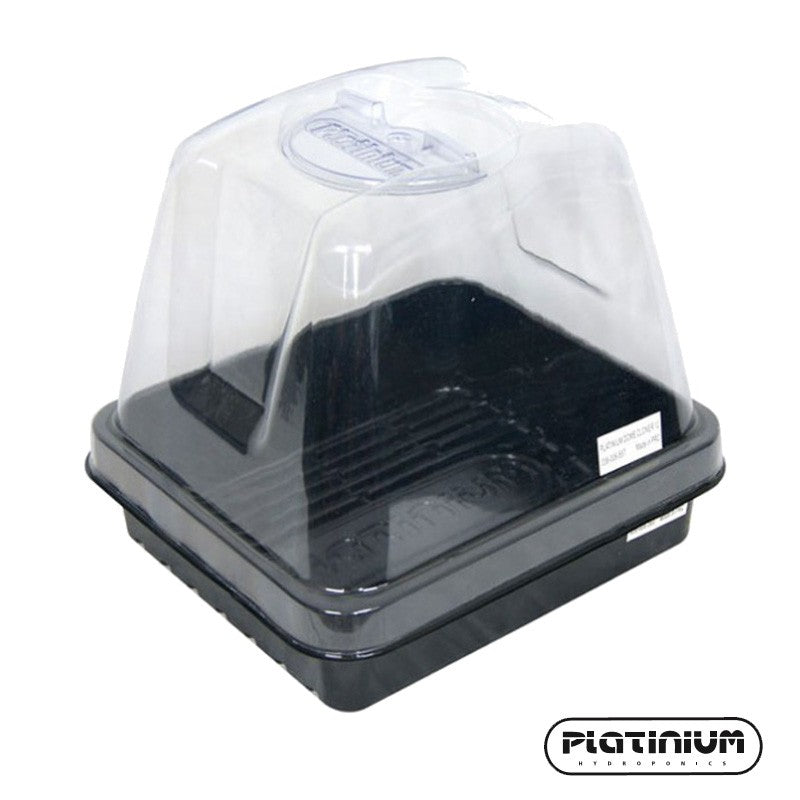 PLATINIUM PETITE SERRE 24 X 21 CM