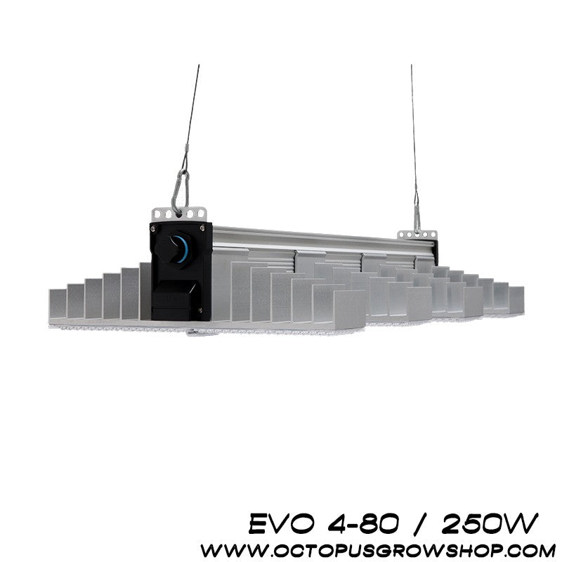 PANNEAU LED SANLIGHT EVO 4-80 250w