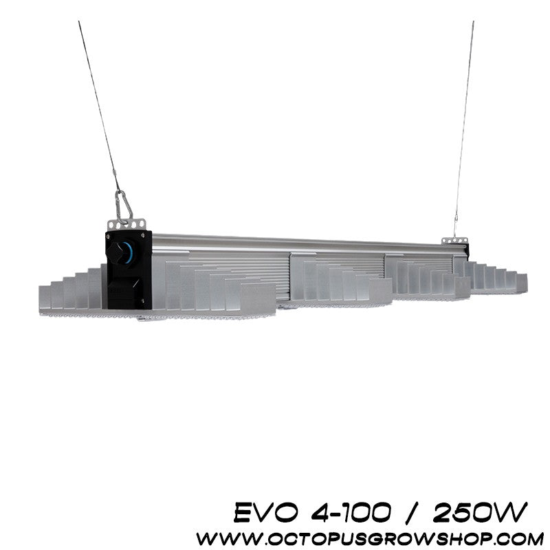 PANNEAU LED SANLIGHT EVO 4-100 250w