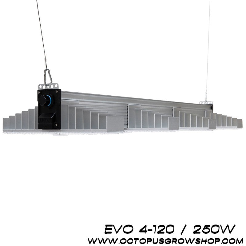 PANNEAU LED SANLIGHT EVO 4-120 250w
