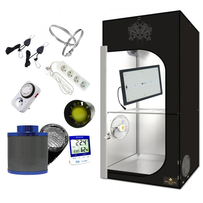 PACK DARK STREET STAR 100 - SECRET JARDIN