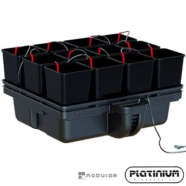 PLATINIUM HYDRO STAR 80