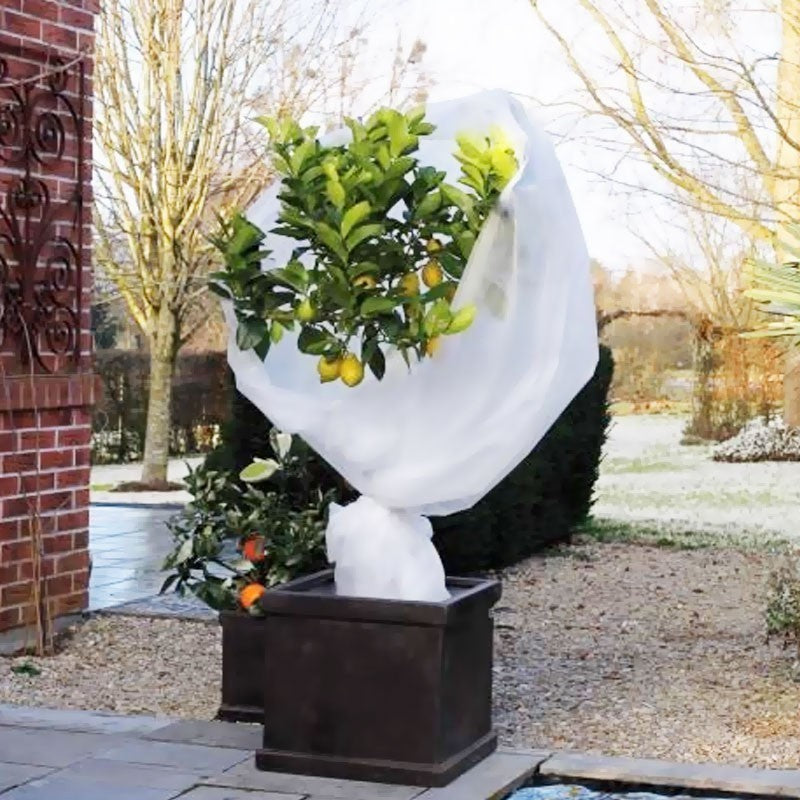 VOILE D'HIVERNAGE PLOLYPROPYLENE Blanc 30 g/m2 - 2m x 5 m